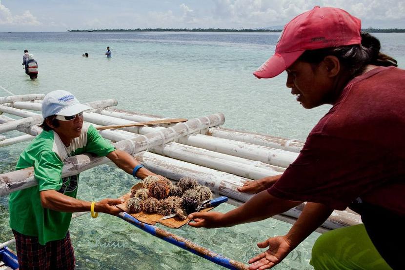 去菲律宾旅游要准备什么东西,去菲律宾有哪些要注意的事项