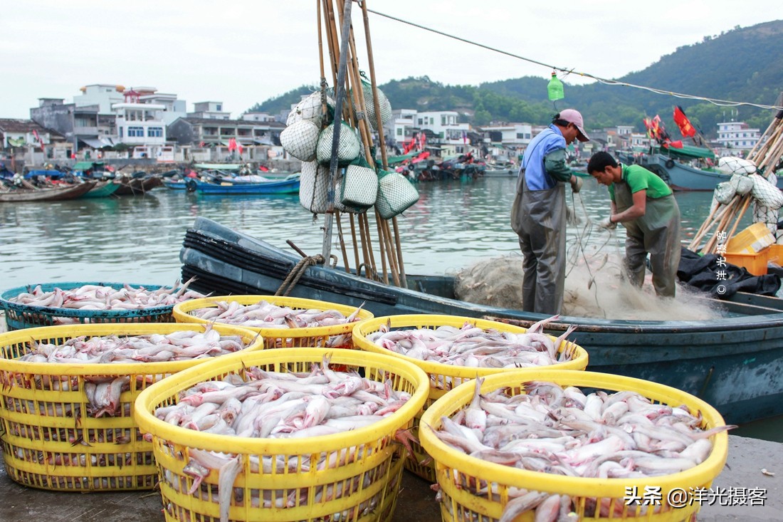 汕尾宜居宜业,汕尾宜居
