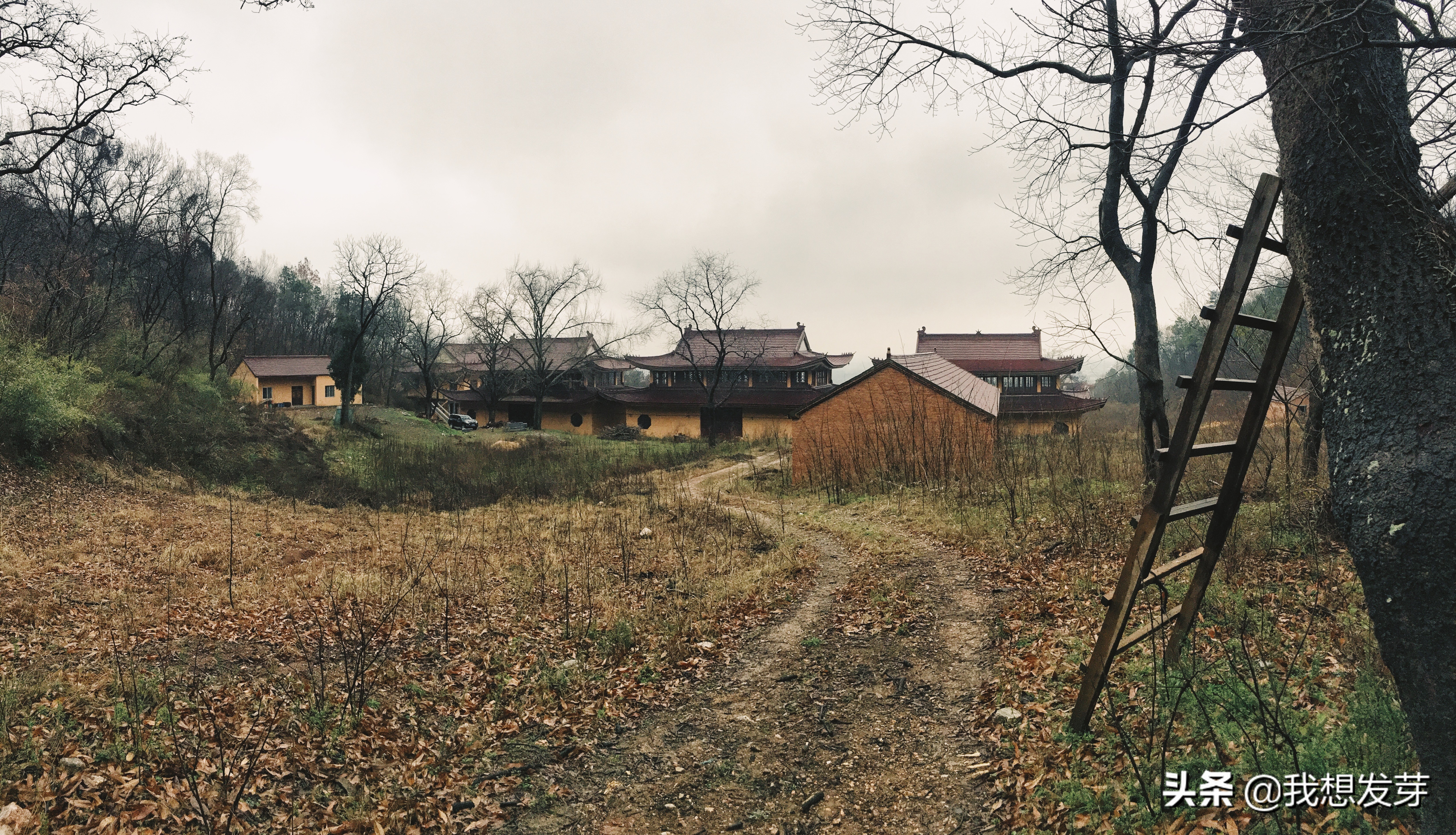 南京浦口隆兴寺简介,南京小众美景闲逛