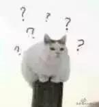 1g2g3g4g5g6g网络有什么区别,1g2g3g4g5g的网速各是多少