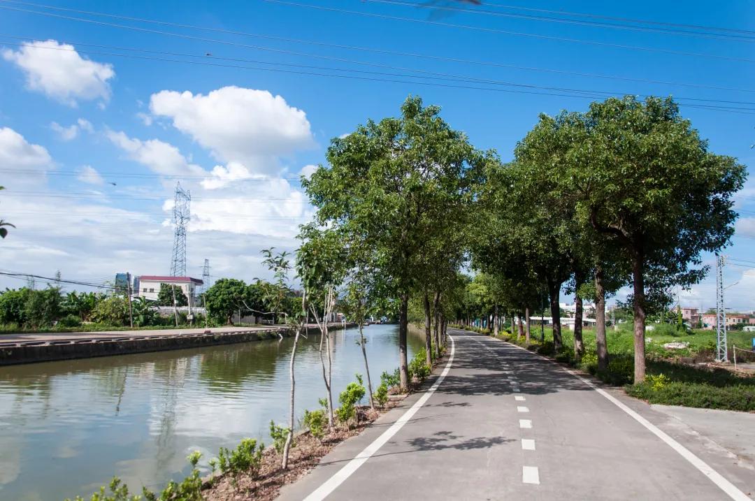 亲子越野跑赛报名,学党史定向越野