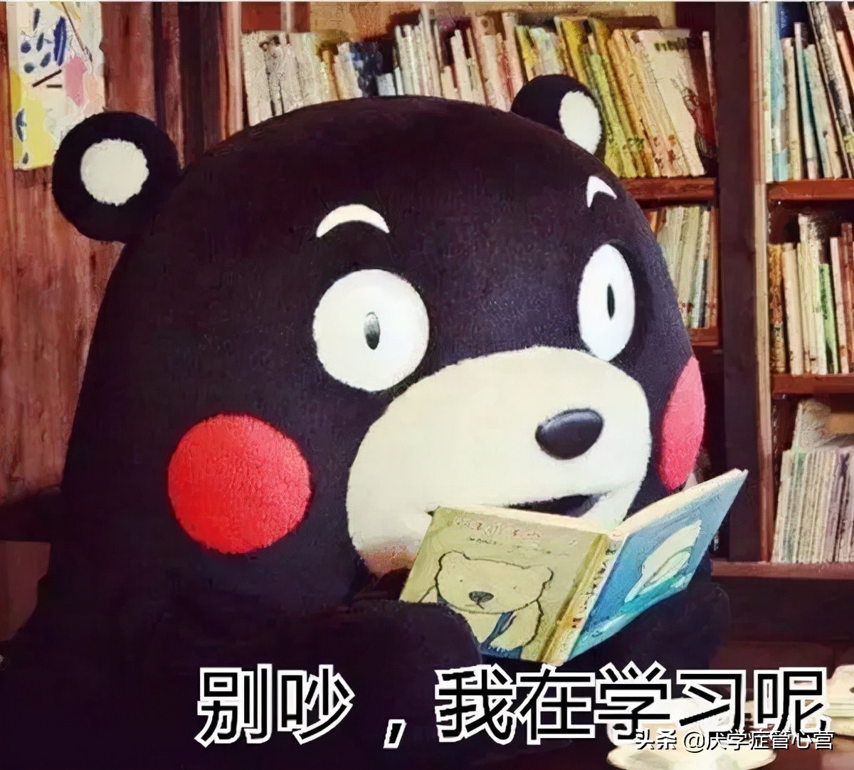 厌学症管心营：情绪抑郁，厌学，生活没有动力怎么办？