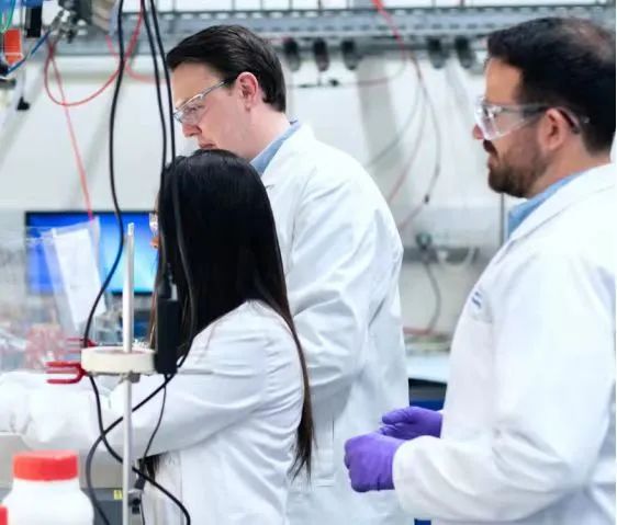 新西兰的羊奶粉真有这么好吗,新西兰进口羊奶粉高钙无添加