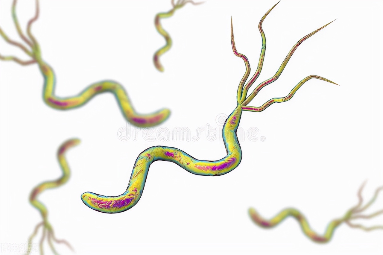 你的胃还好吗养胃秘诀学起来,胃不舒服怎么判断是胃炎