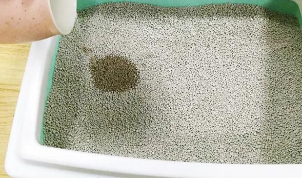 怎样治猫咪乱尿小妙招,解决猫咪乱尿的十个步骤