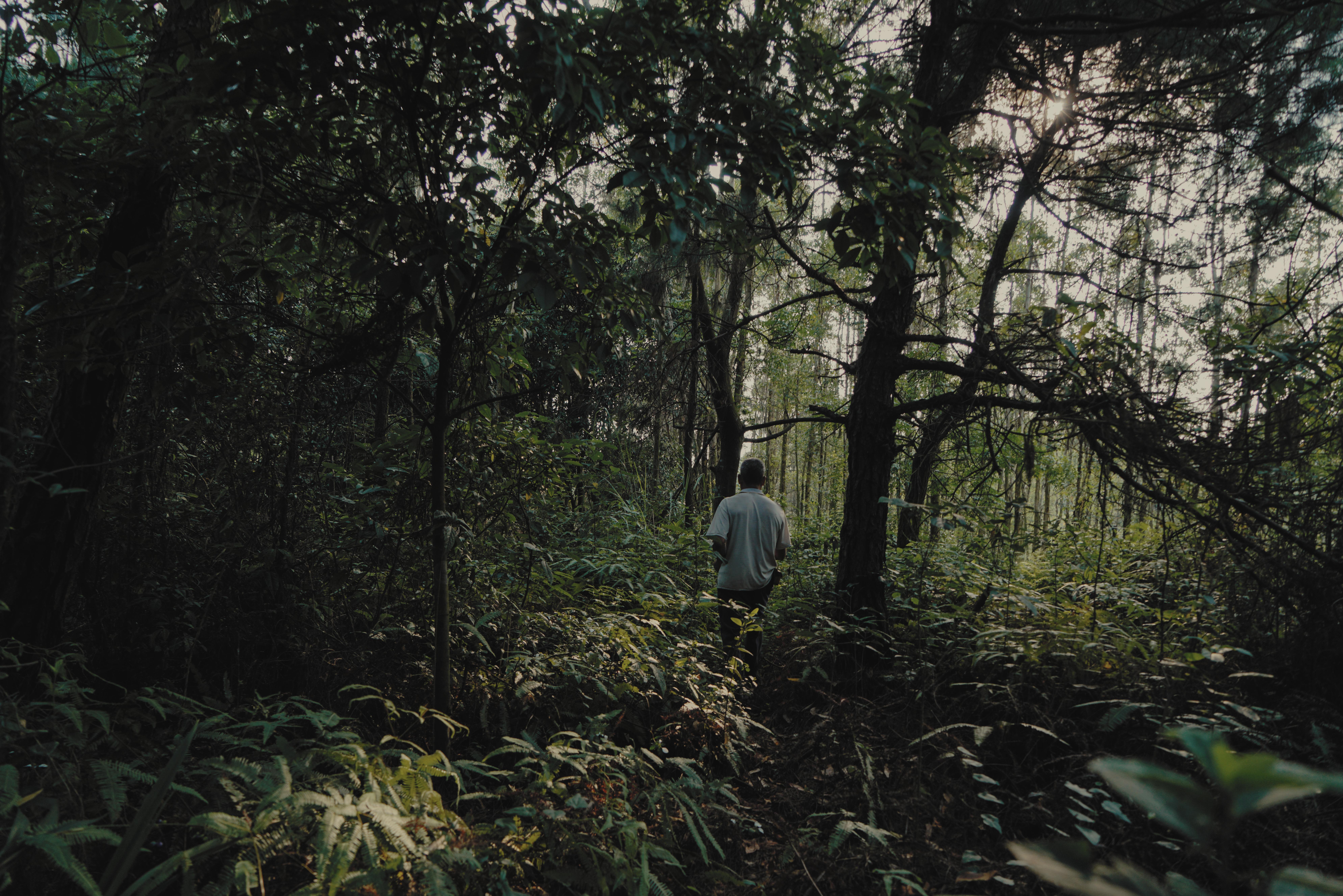 广西十岁百香果女童遇害案过程,广西百香果女孩遇害案进展