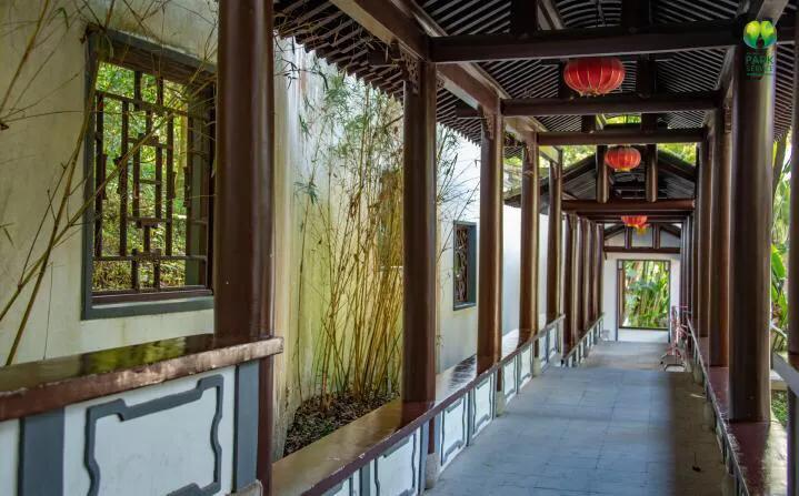 深圳花海景区推荐图片大全,深圳哪里有大片花海