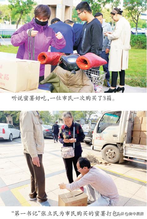 6.9元2斤蜜薯秒杀,西河蜜薯