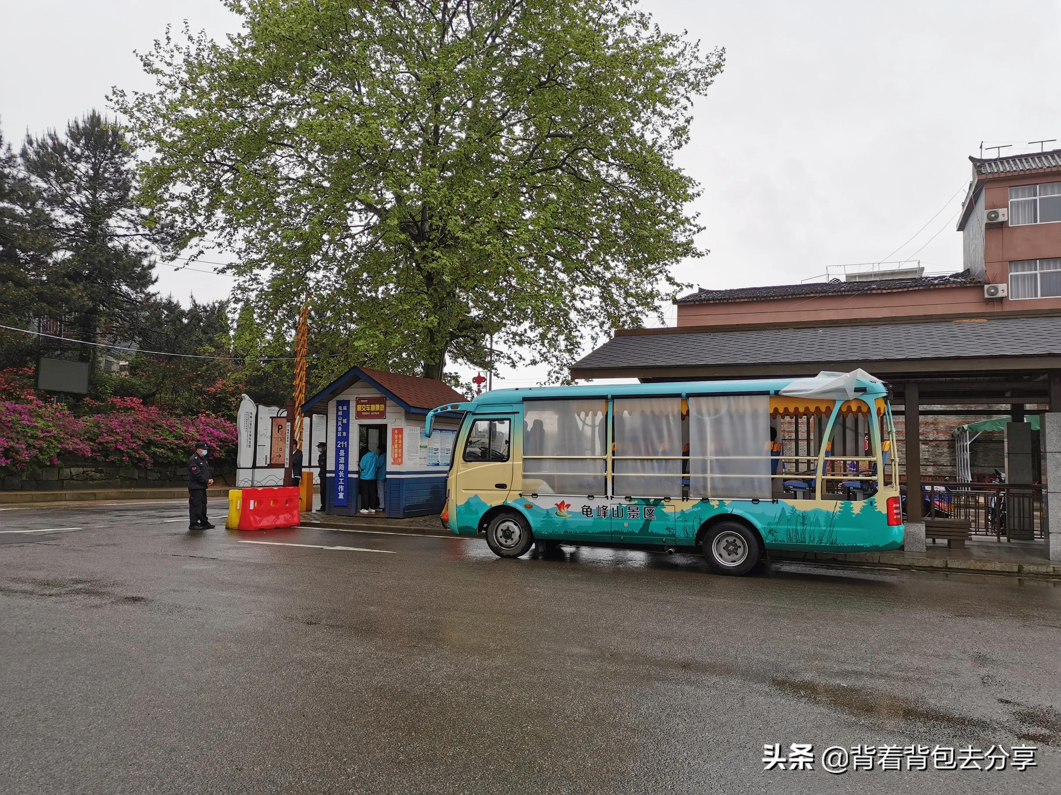 麻城龟峰山古杜鹃,面积最大的杜鹃花景区