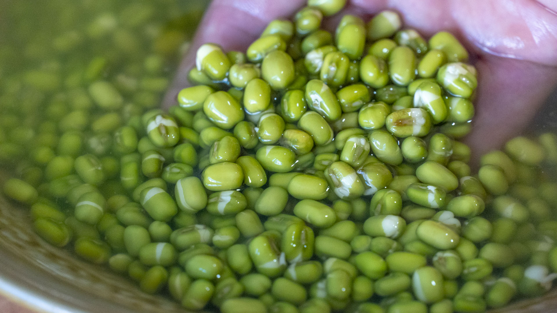 在家怎么发豆芽简单又好吃,自己在家怎么发豆芽最简单