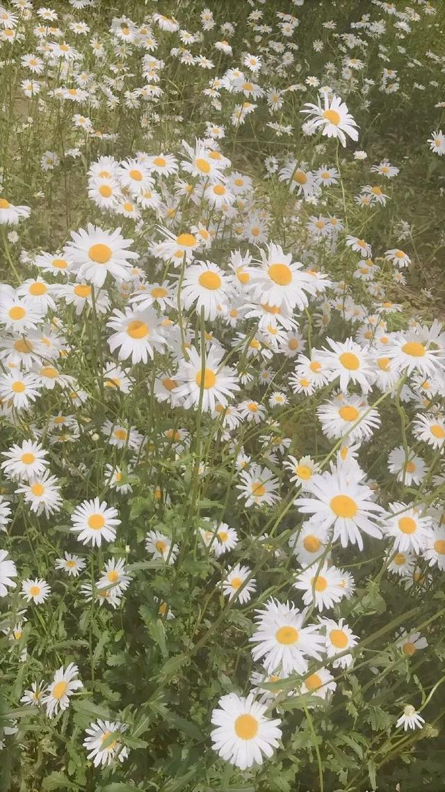 与君书手书,与君书汉服原创