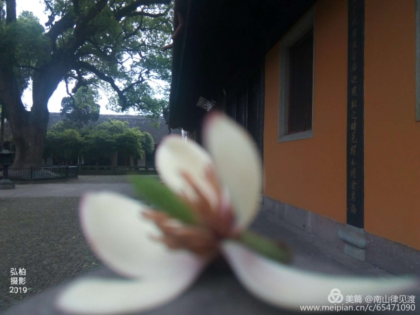 阿育王寺和白马寺,佛教阿育王简介