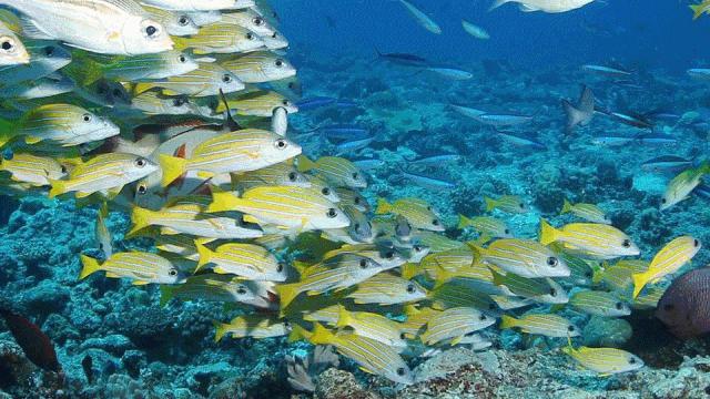 罗源乡下一日游,罗源一日游攻略自由行