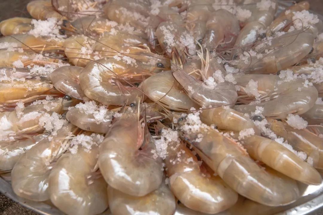 补肾健脾固精的海产品都有哪些呢,温肾固精的食物有哪几种