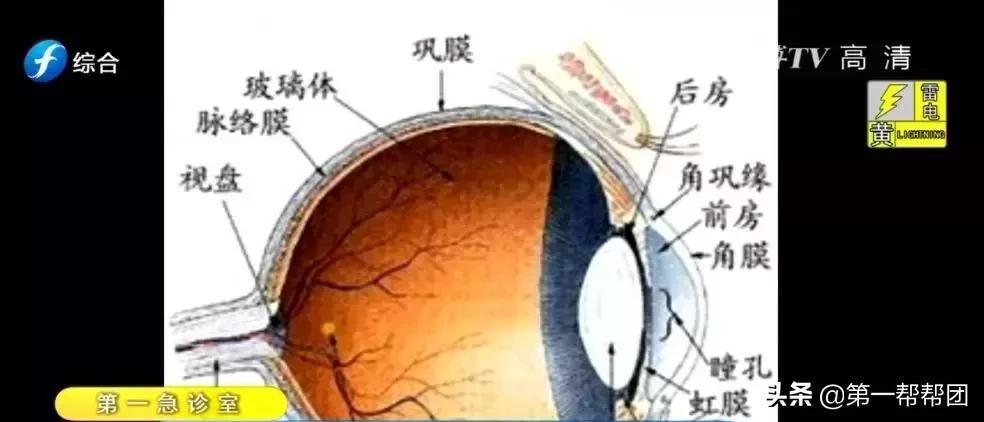 孩子眼睛胀痛，到私立治疗机构做眼部电刺激护理！没想到，一个星期后……
