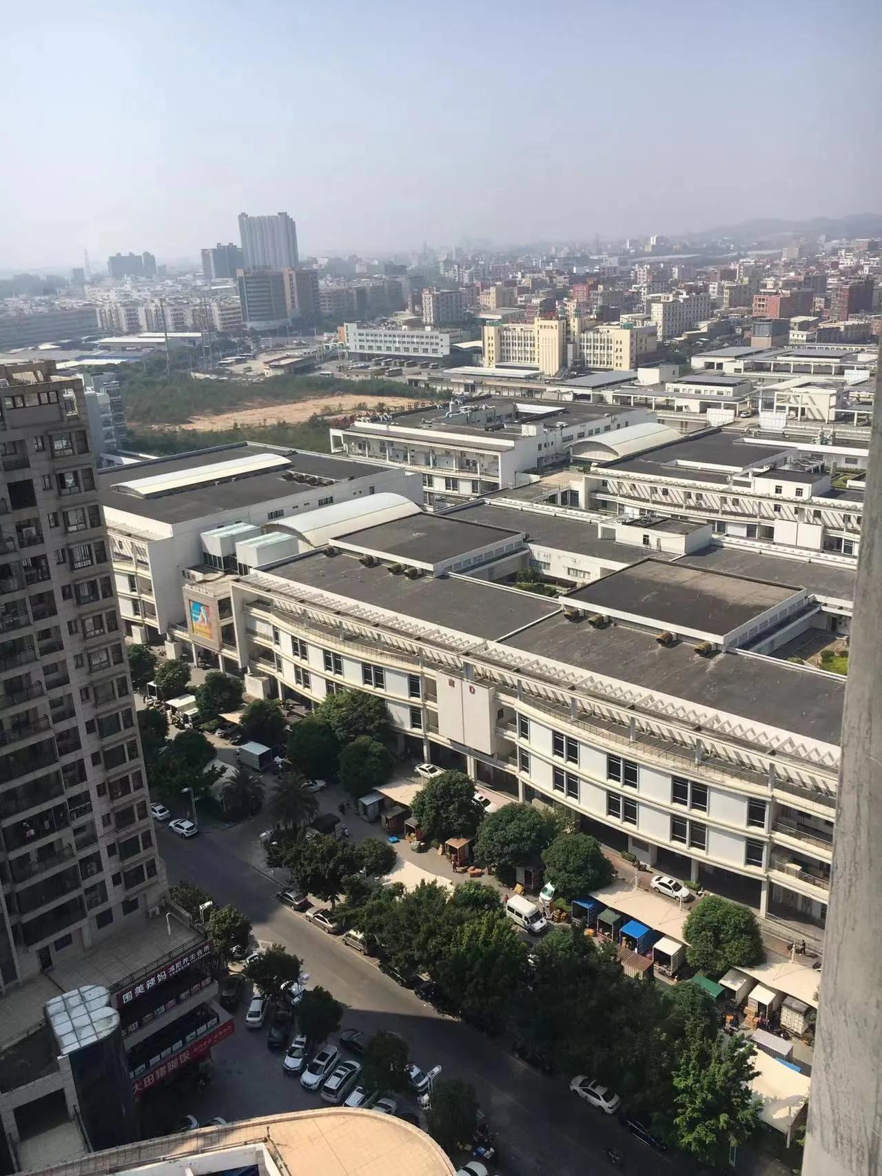 石狮市发展成就,石狮市经济发展状况