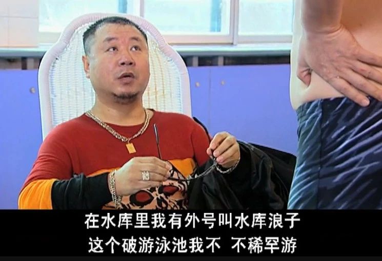 赵本山年代剧,赵本山马大帅野狼disco