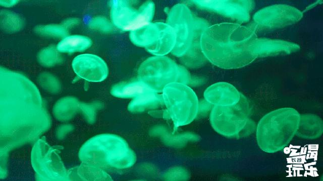 长沙大牌商场,长沙最时尚的商场