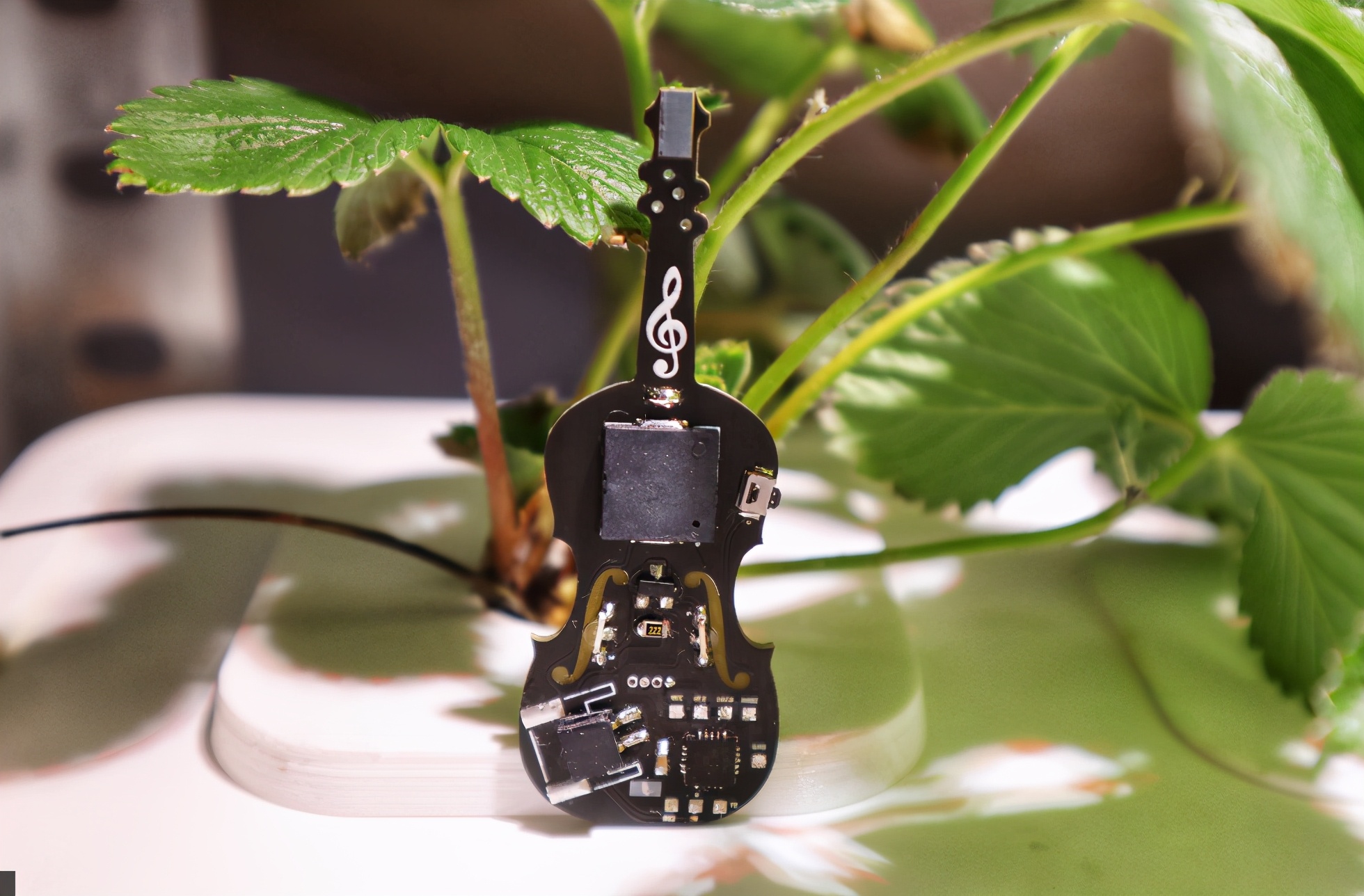 手臂上的小提琴,指尖上的手风琴