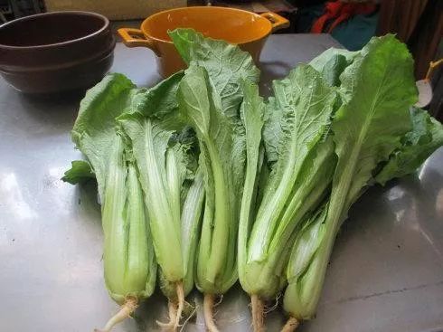 花盆种蔬菜几天浇一次水,哪4种菜根不能丢在家盆栽