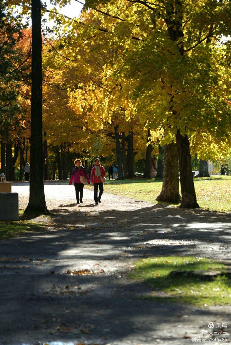 漫步魁北克体验不一样的北美风情,北美枫情蒙特利尔