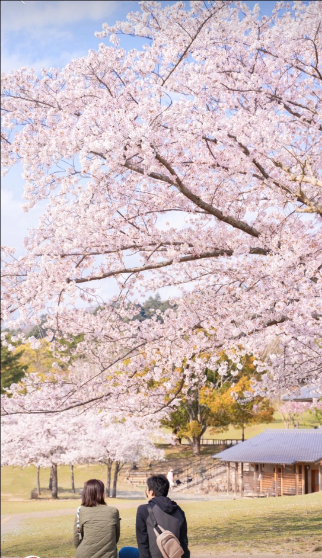 做一个本分的人的句子,本分做人的句子