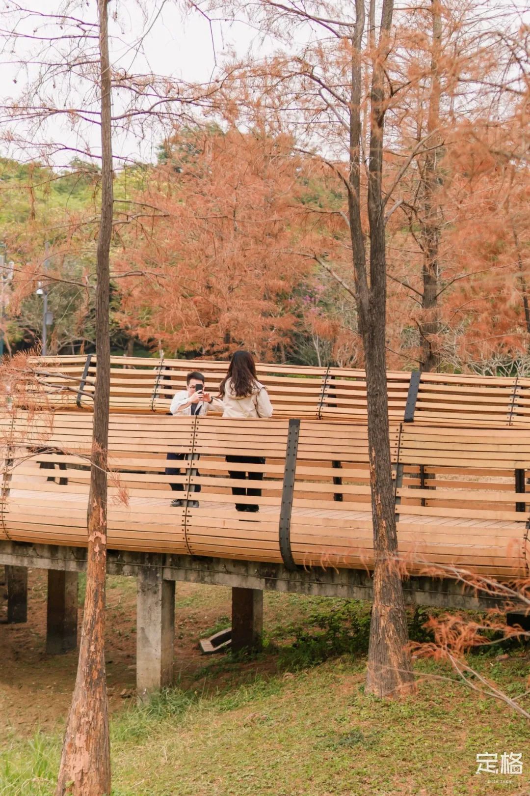 莲花山为啥一夜就火了,莲花山景区