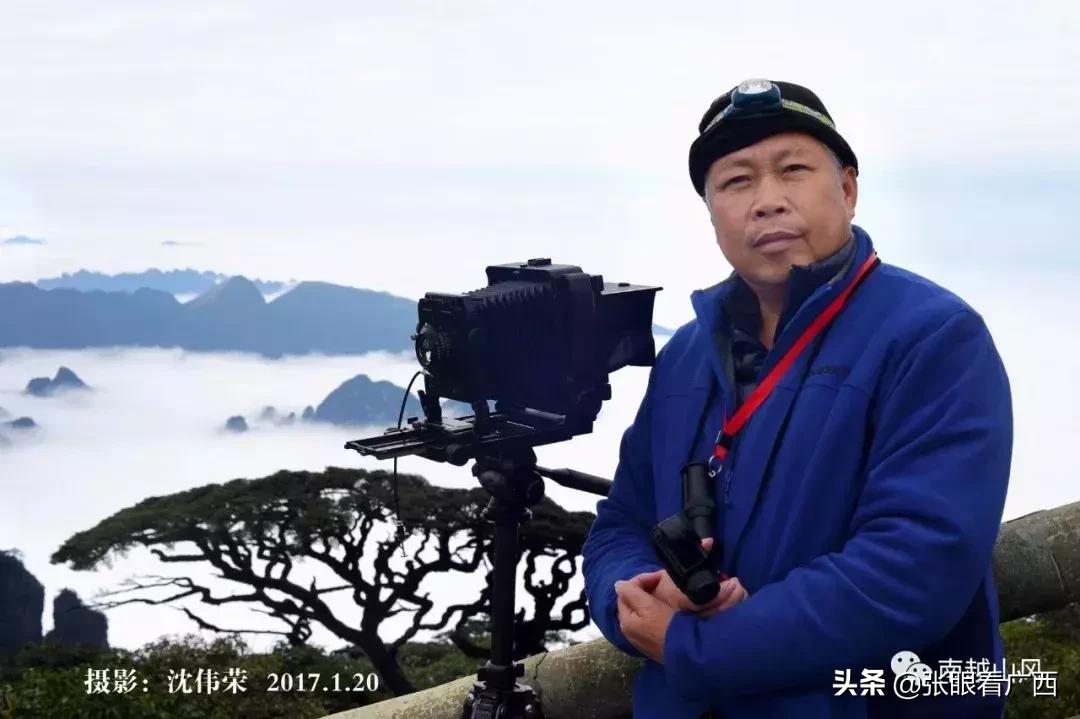 锦绣绣球花,壮乡绣球户外活动