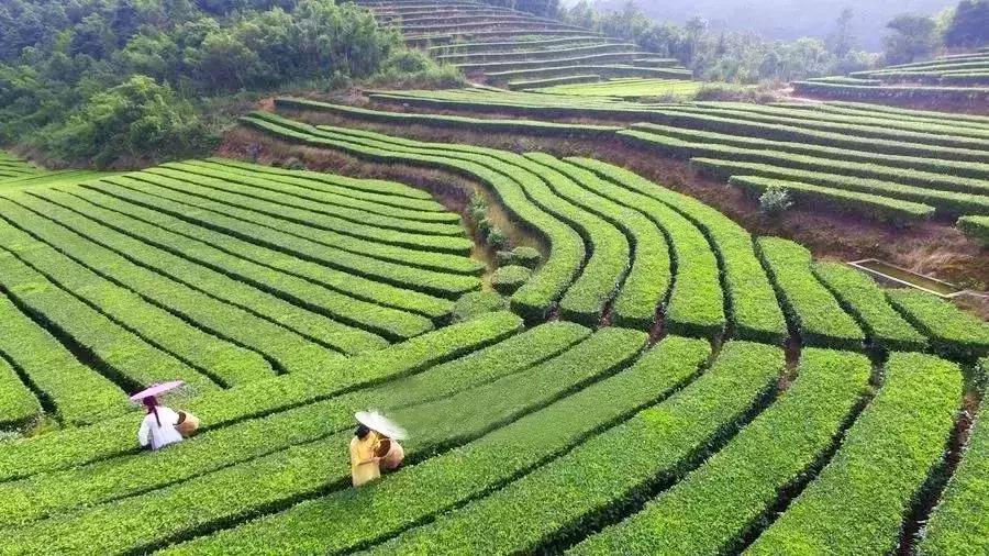 这就是福建,罗源一个正在崛起的城市