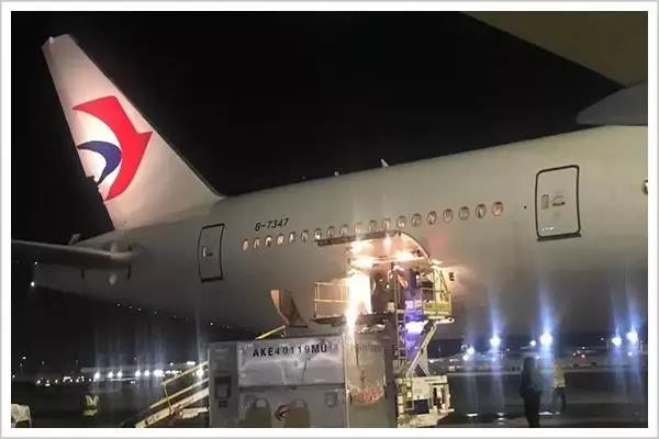 武汉连接线,武汉连接世界的桥