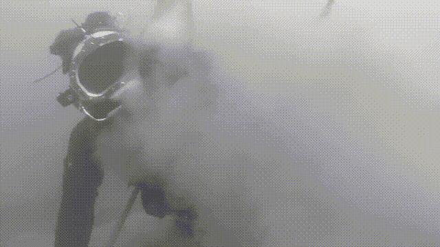 蛏子与小人蚬的区别,贻贝蛤蜊有什么区别