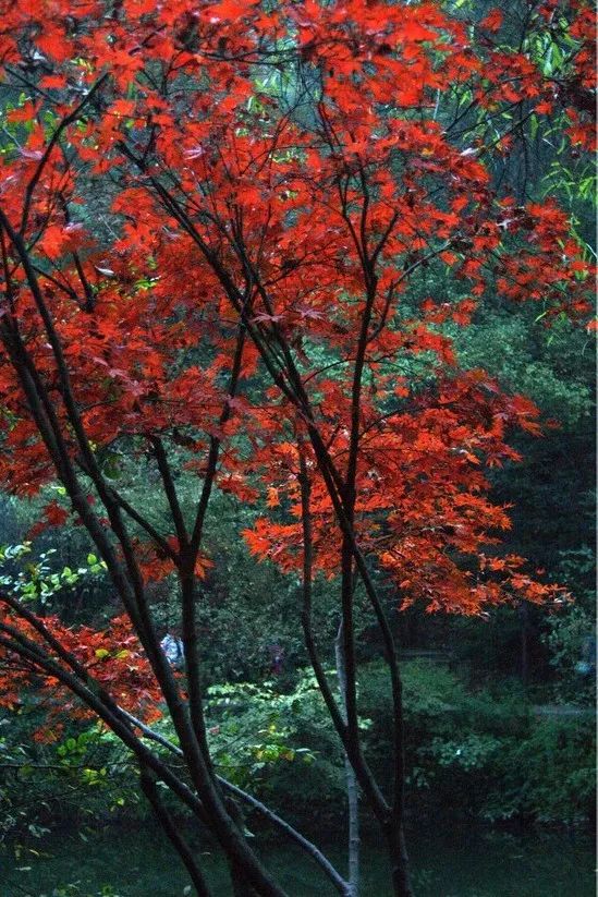 湖南环线游,湖南环线自驾游攻略