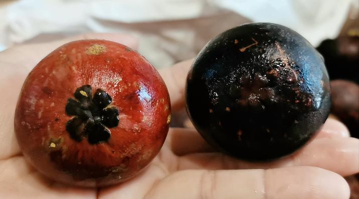 打开山竹原来这么简单,山竹的正确打开方式和技巧