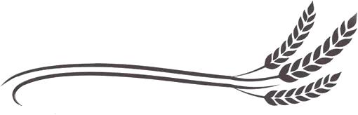 明星都在用的护肤产品,明星真正在用的护肤品牌