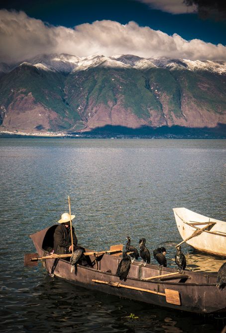 等一个人陪我去大理旅行,如果生活不如意不如一起去大理