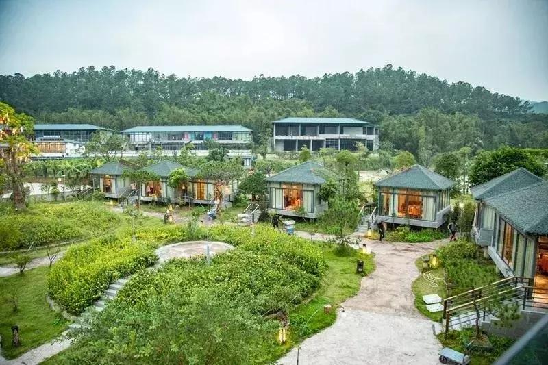 顺德适合10-15人聚会的餐厅,顺德聚餐推荐餐厅10人以上