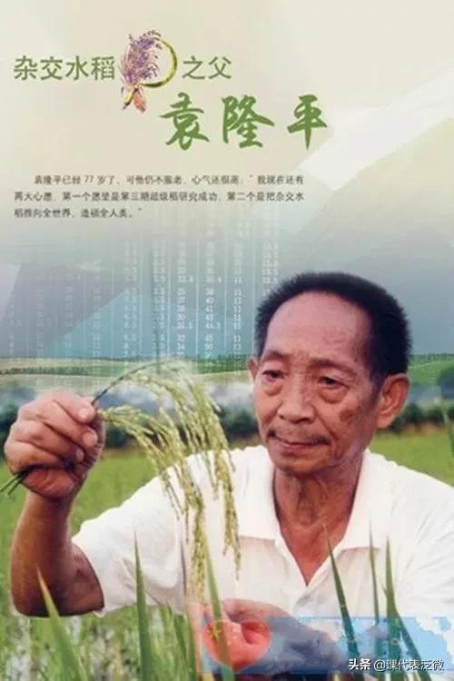 你不知道的袁隆平：浪里白条、预备飞行员、油炸鬼、臭水沟捞宝贝