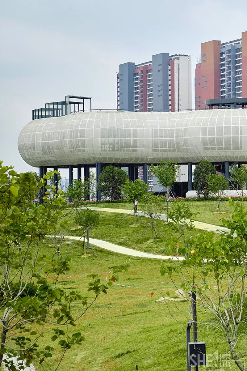 深圳龙华公园推荐,深圳龙华免费公园