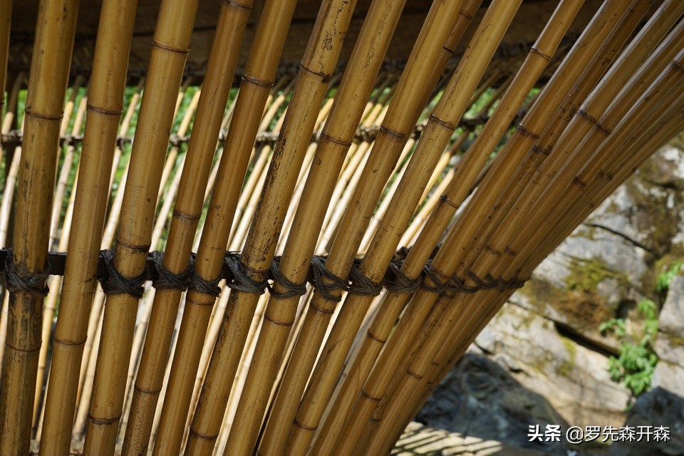 武隆归原小镇茶亭村,武隆归原小镇凤鸣谷星空露营