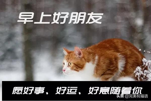 早安问候牵挂精美短句,早安问候一个人的句子