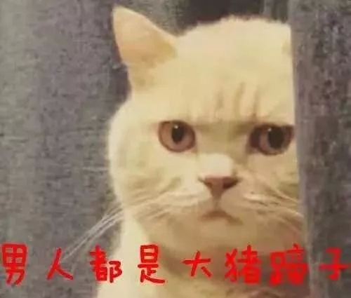 得了疥疮可以吃猪肉吗,大猪身上长癣怎么治用什么药