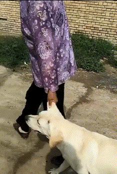 贾玲在沙发上翘二郎腿搞笑图片,贾玲跷二郎腿动图下载