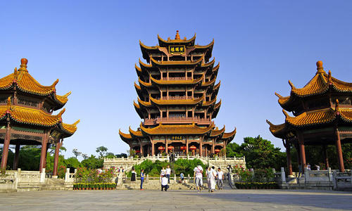 湖北叫九头鸟湖南叫什么,湖北九头鸟是什么意思