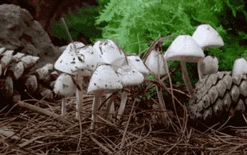 贡享和谐和济共生—贡和堂品牌文化及平台介绍