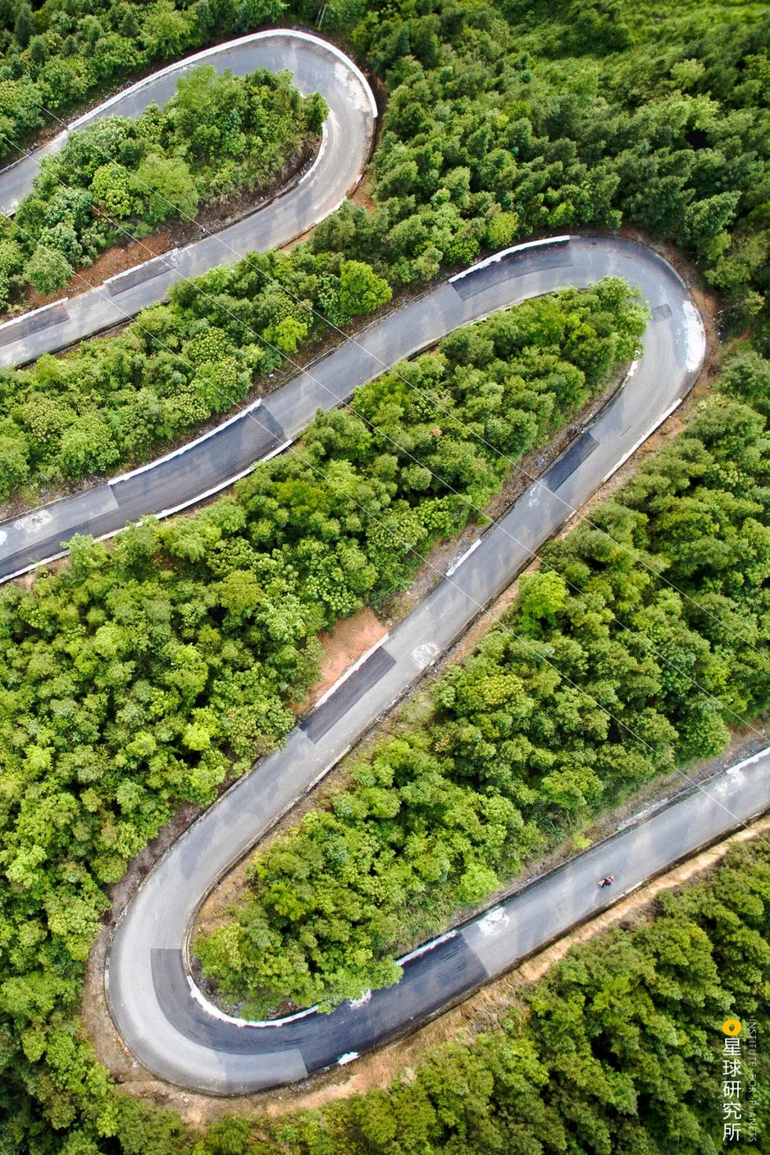 中国植树造林成果国外有什么看法,植树造林改造沙漠