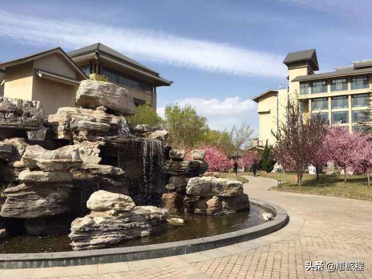 疫后出游,疫后出行