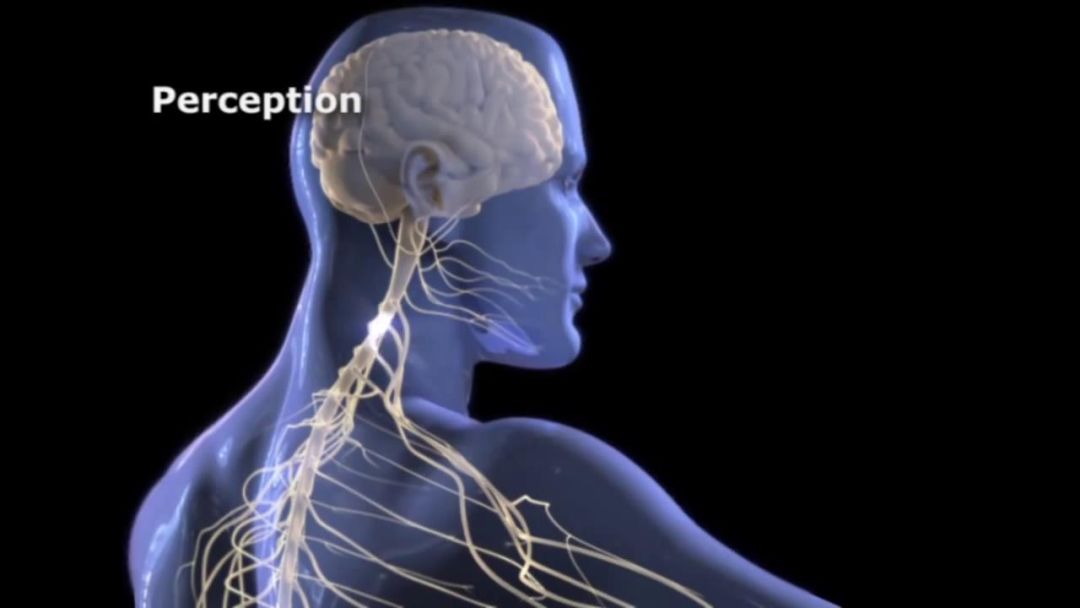 疼痛篇：拔掉疼痛射向自己的第2支箭，你的疼痛谁做主？