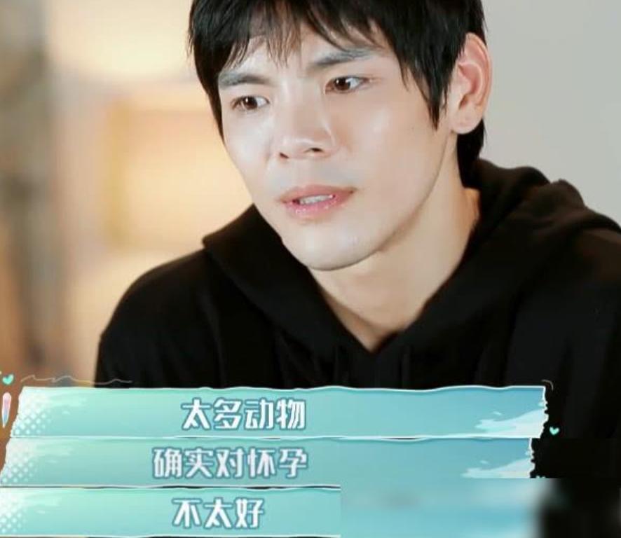 郭碧婷试管生孩子吗,郭碧婷是不是很幸运嫁了豪门