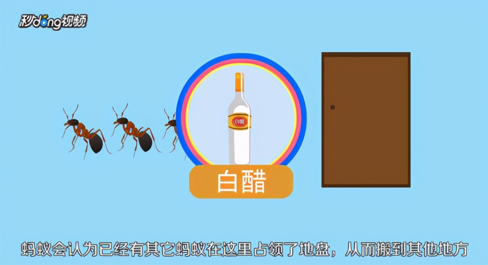 被蚂蚁蛰怎么处理,请问被蚂蚁咬了怎么办呀