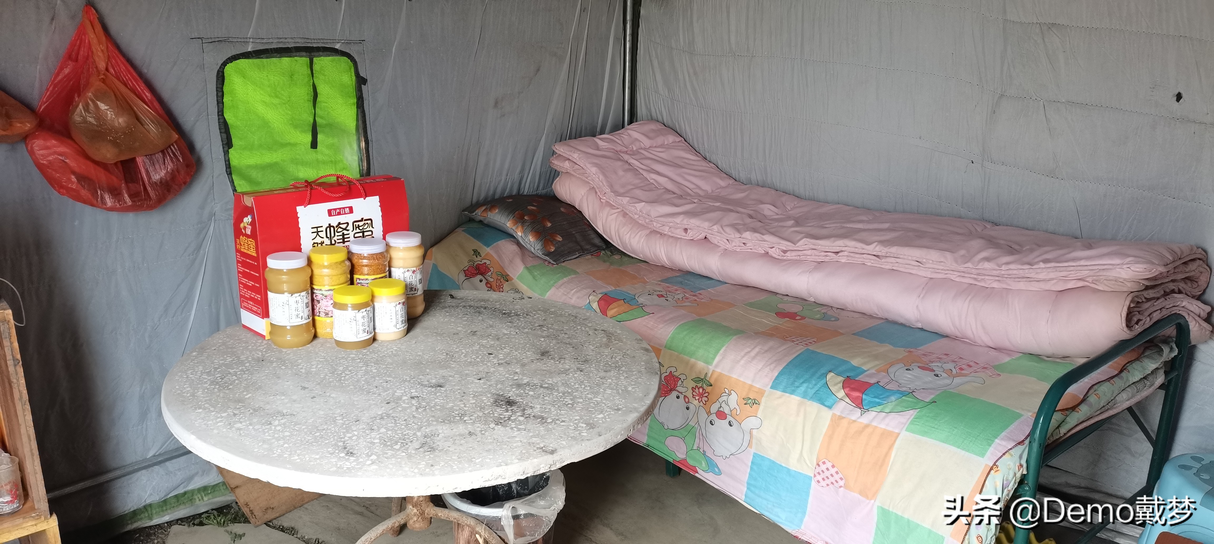 一群流浪的养蜂人,流浪的养蜂人